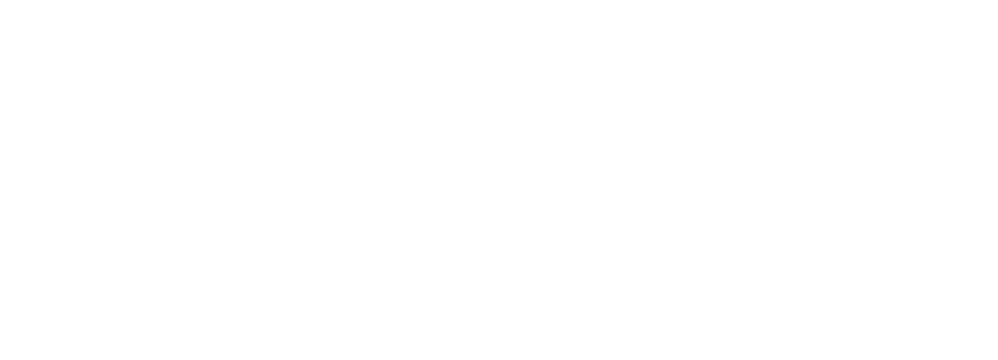 white_logo_transparent_background
